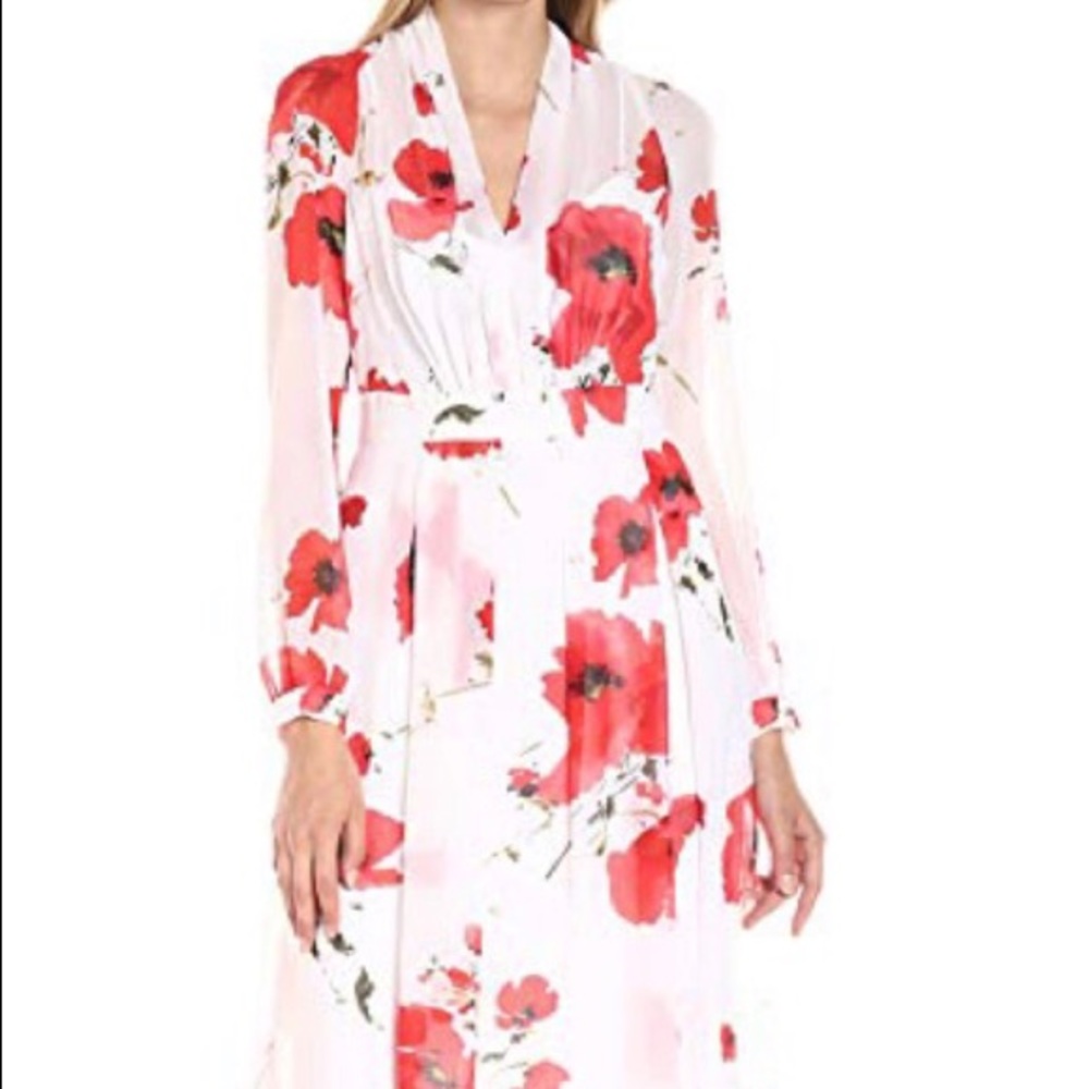Anne Klein Long Sleeve Fit and Flare Dress